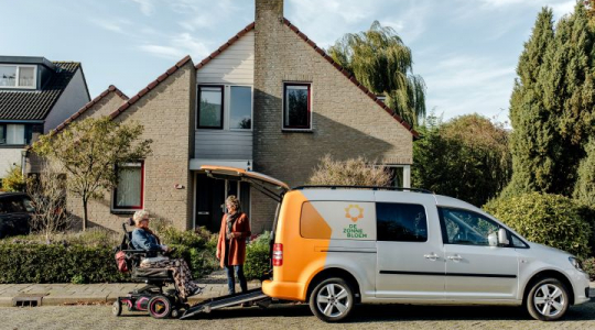 Zonnebloemauto beschikbaarheid