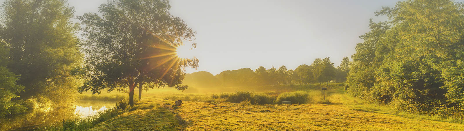 Welzorg Woning op Maat Kaag en Braassem