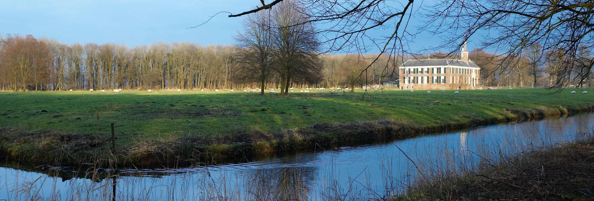 aangepaste auto Heemskerk